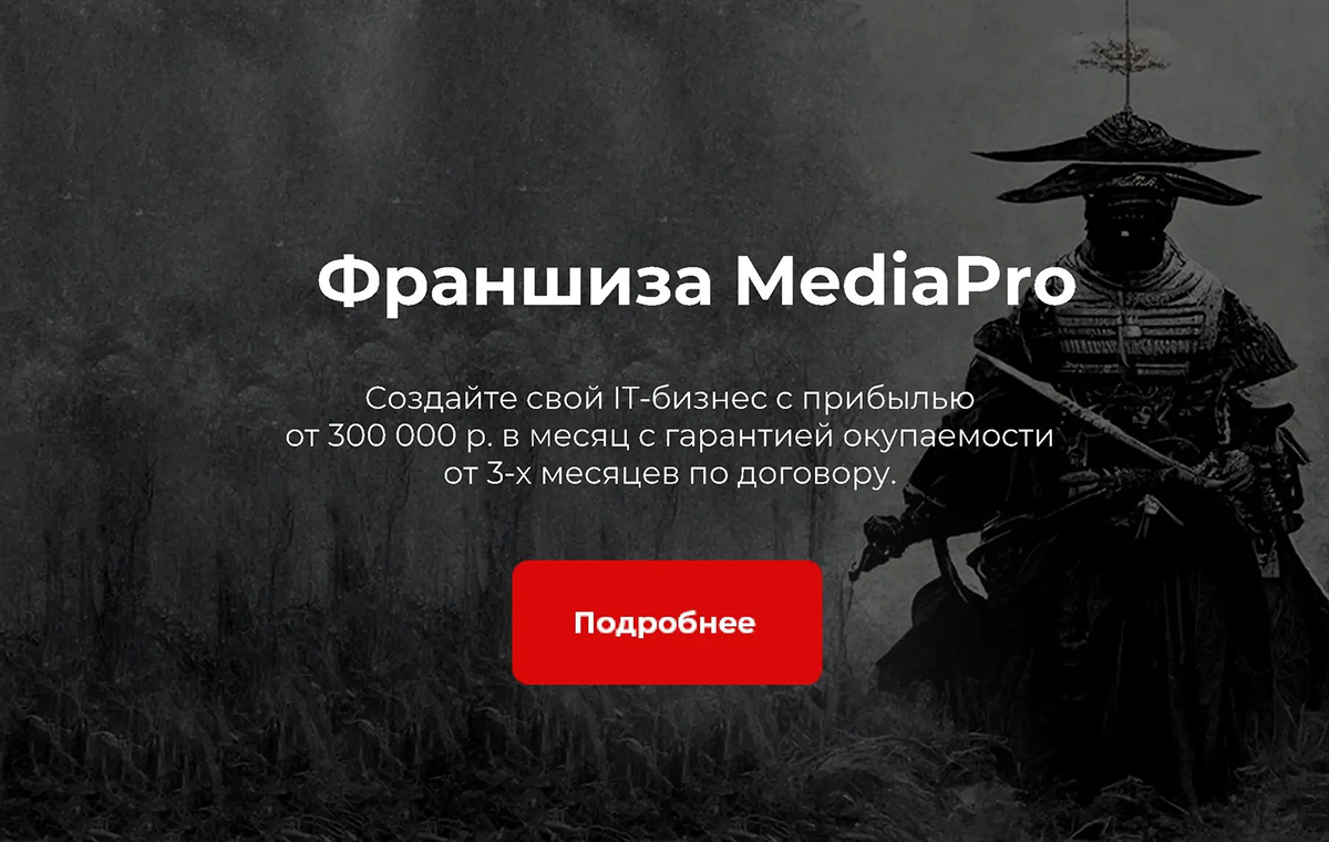MediaPro - slide 13