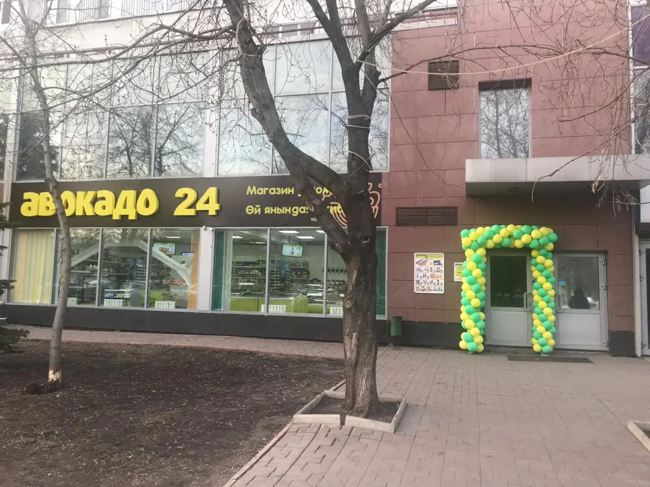 АВОКАДО - slide 8